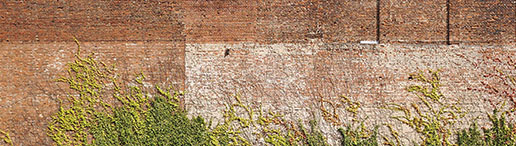 Dr. med. Charlotte Steiner